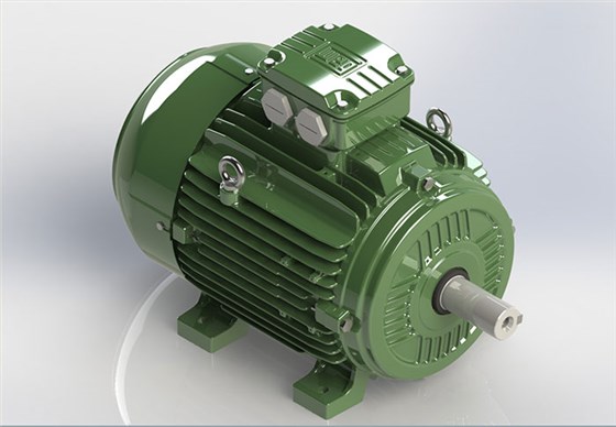 铸铁机座 W21系列多电压电机