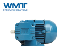 废水提升站使用WEG Pump Genius减少维护并扩展MTBR