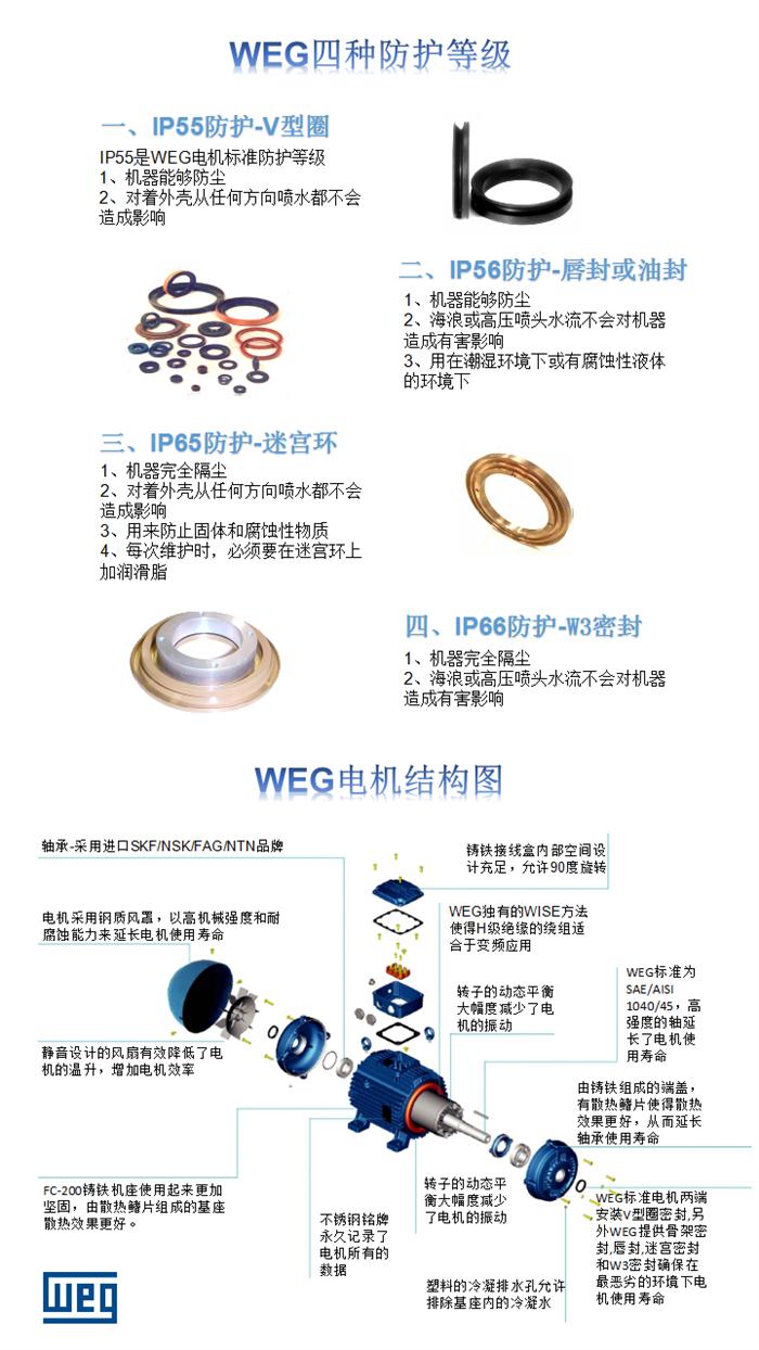 WEG多电压电机防护等级和结构图