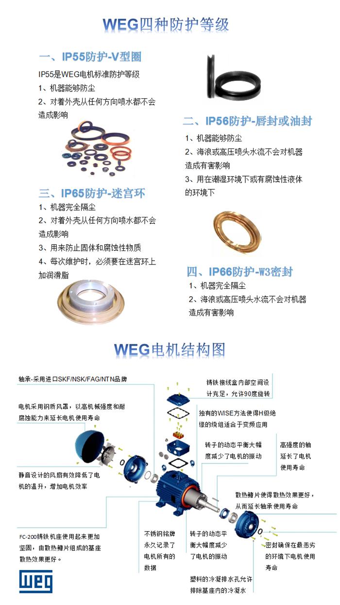 WEG电机防护等级截图