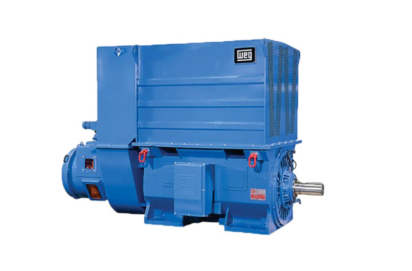 高压电机运行注意事项