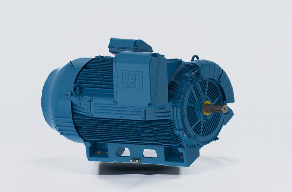 高压电机有哪些电气保护措施？